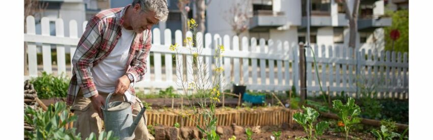 Agriculture urbaine : l'avenir des villes